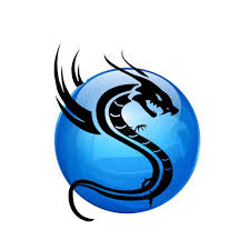 Sky Asia Network